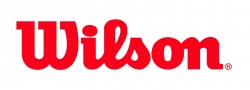 Презентация "Wilson"