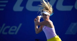 Анастасия Потапова дала бой Симоне Халеп во 2-м круге WTA "500" в Мельбурне