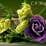 С Праздником Весны, 8 Марта, Милые Дамы!