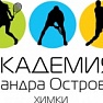 Академия запустила сервис для оплаты услуг через интернет
