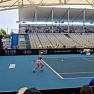 Анастасия Потапова - во 2-м круге квалификации WTA Premier Brisbane International