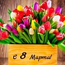 Дорогие женщины, с Праздником Весны, 8 Марта!!!